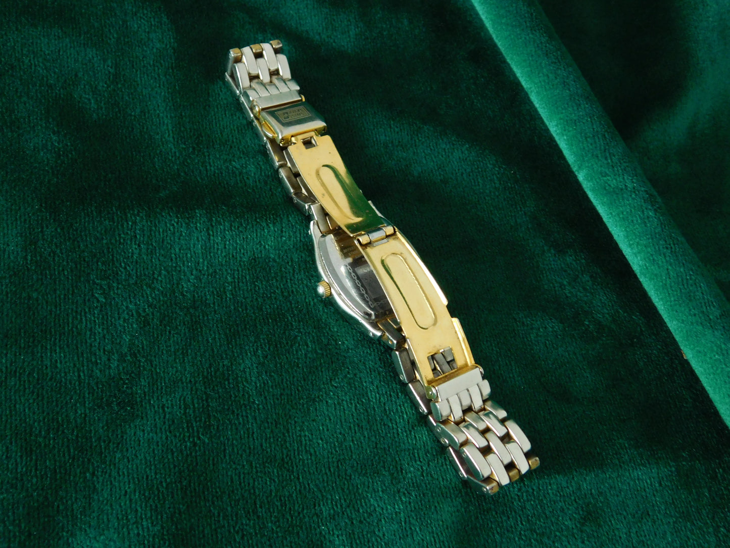 Swiss skier dual tone watch